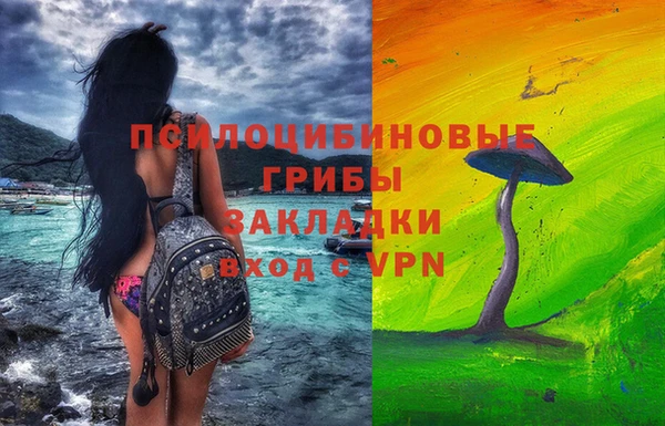 apvp Алексеевка